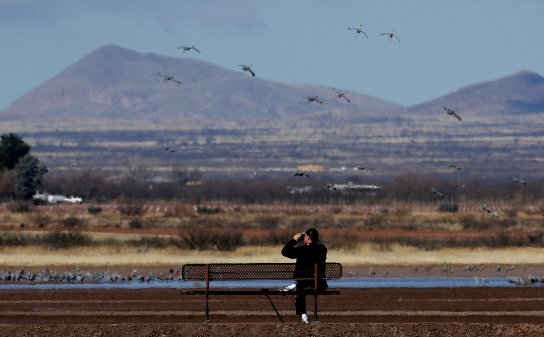 2018 Wings over Willcox